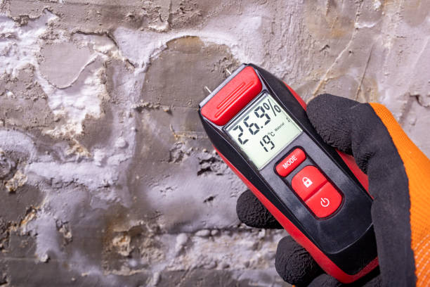 Certified Mold Removal in Montclair, CA