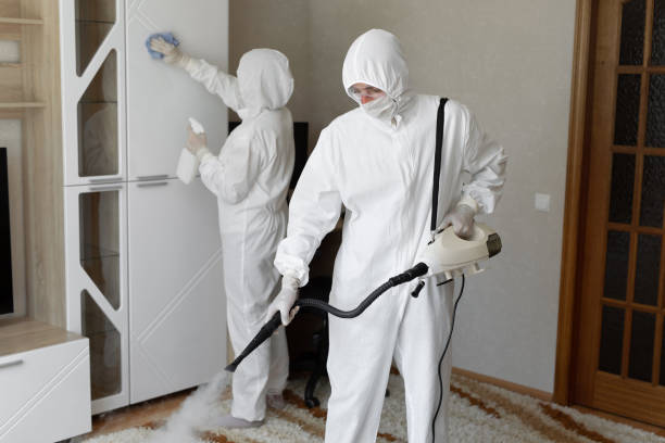 Best Residential Mold Removal  in Montclair, CA