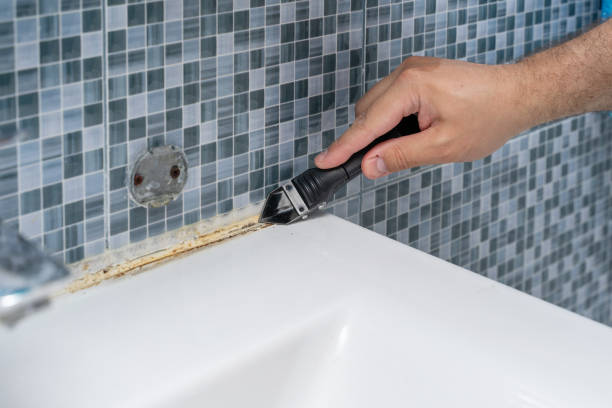 Best Mold Removal Near Me  in Montclair, CA